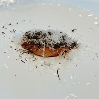 RISPETTO - 