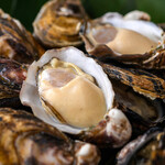 旬菜魚 藍 - 生まれて数か月の小さな小さな牡蠣ですが身はぷりっとして濃厚。