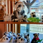 Bunsuidou Kashiho - お店の中は、パンダのグッツだらけですね　( *´艸｀) ﾌﾟﾌﾟﾌﾟ 