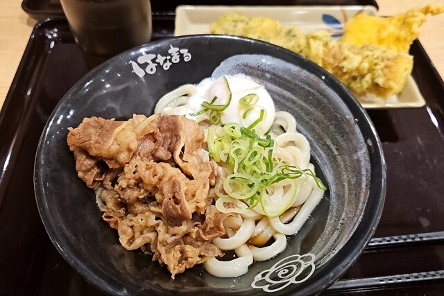 Hanamaru Udon Akitagawa Moto Ten photo 5