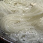 釜揚げうどん 戸隠 - 濃厚な茹で湯に浸かった細うどん