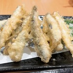 Sushi Tei - 