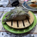 根室花まる JRタワーステラプレイス店 - 真いわし