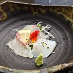 和食料理 和えん - 鯛、カンパチ、イカ