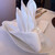 RISTORANTE REGA - その他写真: