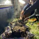 インド・パキスタン料理 アルバラカ - 