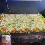 インド・パキスタン料理 アルバラカ - 