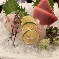 ざくろ 銀座店 - 