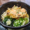 讃岐うどん 菊家 - かき揚げ天ぷらうどん