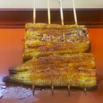 つきじ 宮川本廛 - 料理写真:つきじ 宮川本廛 小田急ふじさわ店