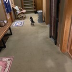 割烹旅館 さつき - 