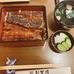 Unagi Ogawa - 