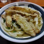 手打うどん 麦の恵 - ごぼ天うどん