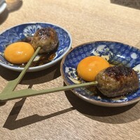始祖鳥 - 