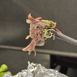 すみび焼肉　Da-Wa - 