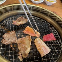 喜福世 - 
