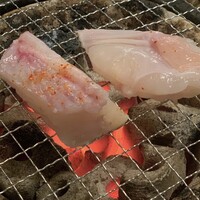 とらふぐ城 - 