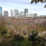 Sanukiya - 大阪城梅園