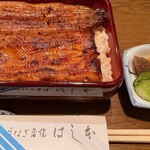 Unagi Hashimoto - 