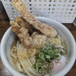 トウキョウライトブルー ホンゴウスリー - 