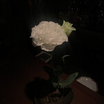 バー・ラ・ユロット - 