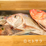Kuzushi Sushi Kappou Kurage - 食材の産地にこだわらず、良い食材で料理をつくる
