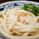 Marugame Seimen - かけ・大。