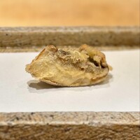 日本橋 蕎ノ字 - 