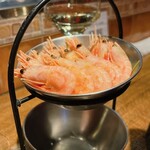 Shrimp Garden - 
