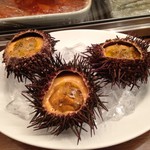 エルプルポ - ウニプリン