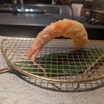 日本焼肉はせ川 別亭 - 車海老