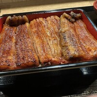 うなぎ 目白ぞろ芽 - 