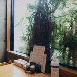 やぶ善 - 玄関横のテレビ真下席には、外光が射し込んでくれます。