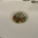 カンテサンス - 