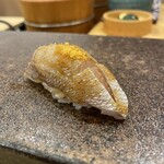 あま木 - こだい