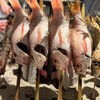 囲炉裏のおっきゃがり 活魚煙舎