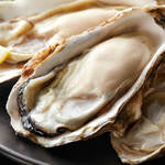 ◆“Raw Oyster” delivered directly from Hirota Bay, Iwate Prefecture
