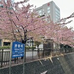 トマソン - かわそん