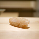 すが弥 - 「泥障烏賊」 2019年2月