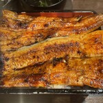 Shimbashi Unagi No Oyado - 