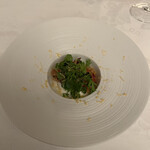 マダム・トキ - 