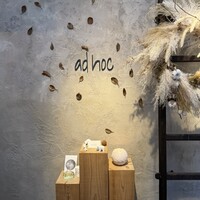 ad hoc  - 