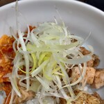 ヌードル＆スパイスカレー 今日の1番 - 