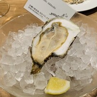 BELON 渋谷店 - 