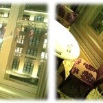 カメリア - 2013年11月