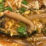 一乗寺つるかめ - 