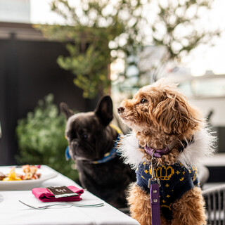 テラスの一部にペット同伴可能なエリアございます