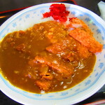 お食事処 ぽち - 本日のランチ・カツカレー　６９０円（税込）のカツカレーのアップ【２０２２年１２月】