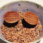 レスピラシオン - 