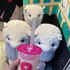 アルパカ茶屋